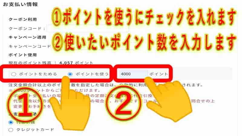 ポイントを使いたい場合は、支払情報のポイント使用の欄から「ポイントを使う」にチェックを入れて、使いたいポイント数を1,000pt単位で直接入力します。