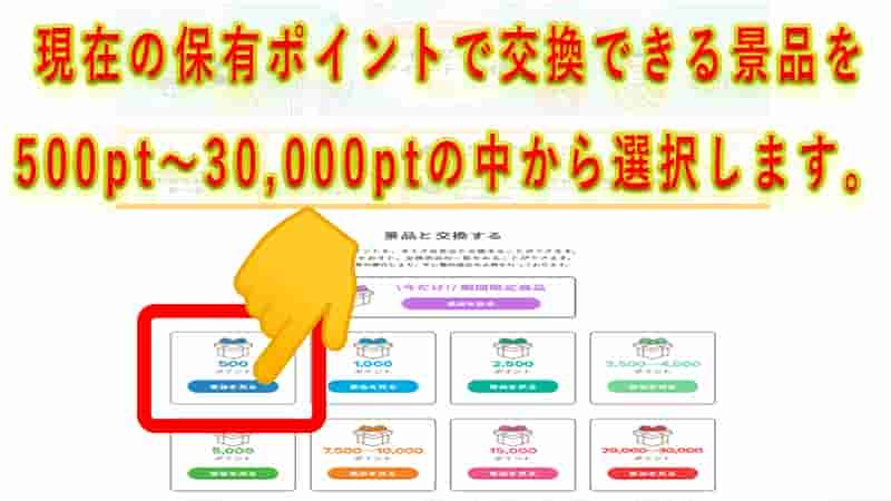 ポイント交換画面に切り替わりますので、現在の保有ポイントで交換可能な景品を500pt～30,000ptの中から選択してクリックしてください。