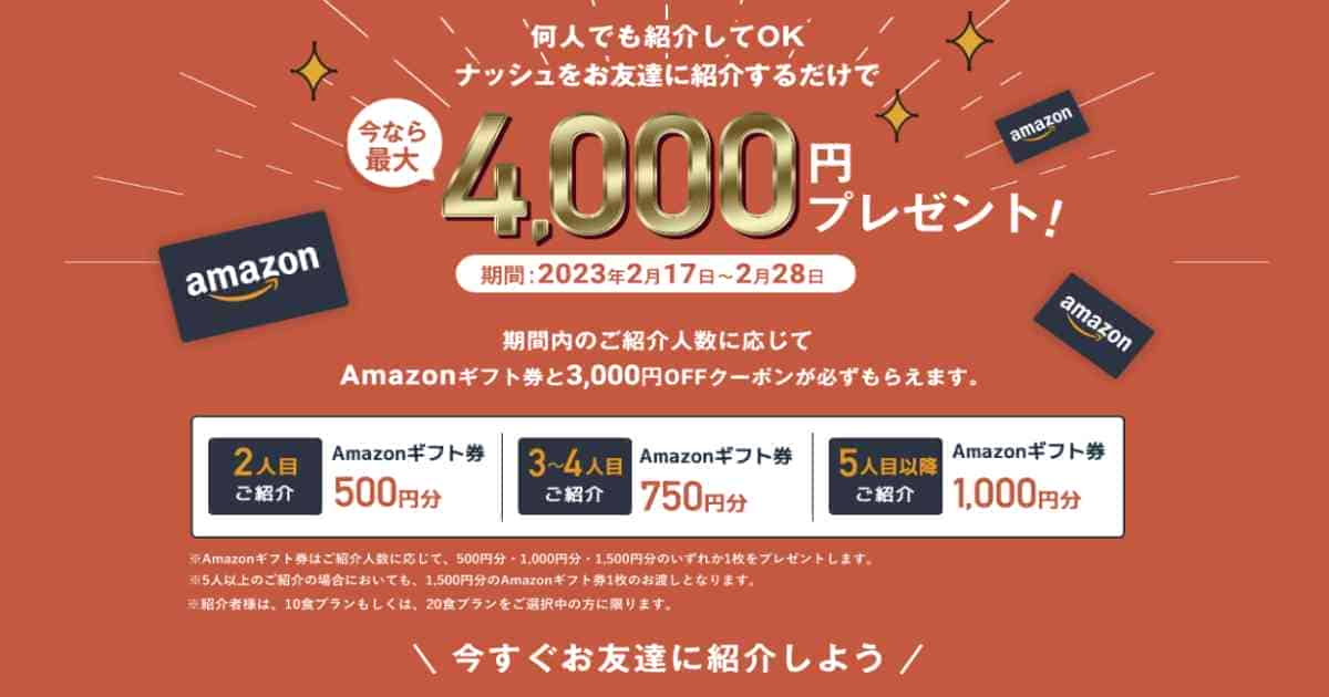 ナッシュお友達紹介キャンペーン【今ならAmazonギフト最大4000円分プレゼント】