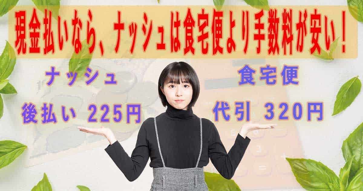 現金払いを利用したいなら、手数料が安いナッシュがおすすめ！