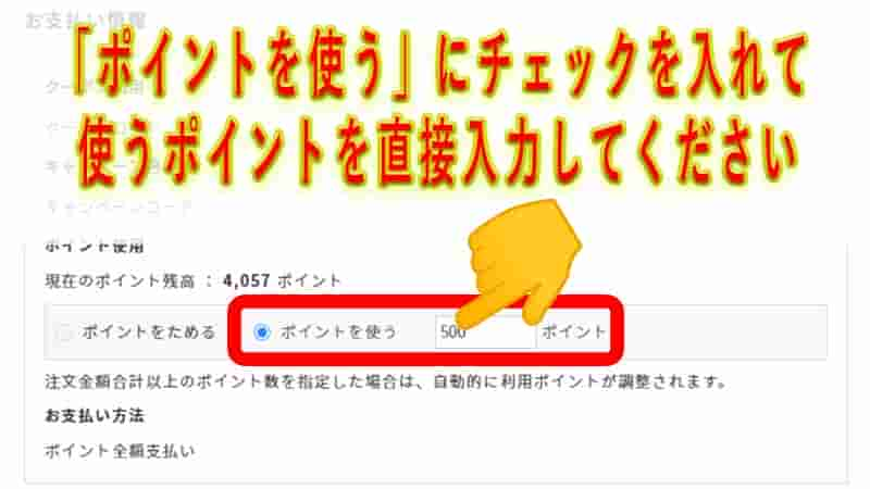 支払情報の設定画面に切り替わりますので、「ポイントを使う」にチェックを入れてから、使うポイントを直接入力してください。